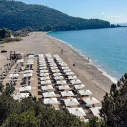 Christmas Gift Guide 2024